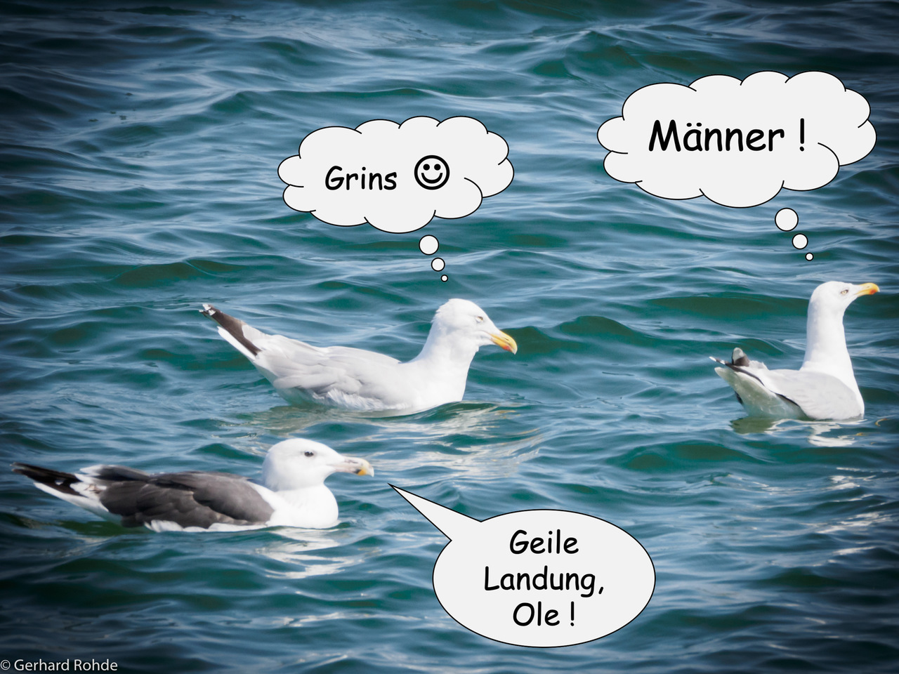 Ole & Co - Happy Landings