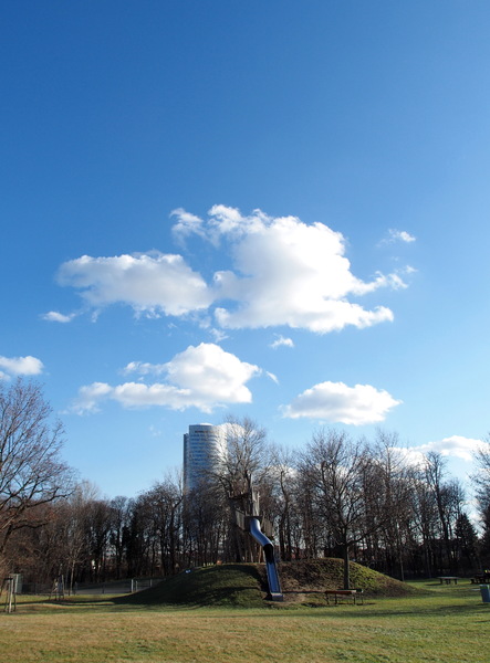 P2090085v2.jpg