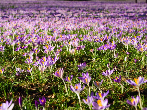 Früüüüühling!