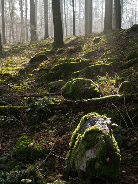kleine Seele