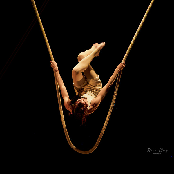cirque le bouffon