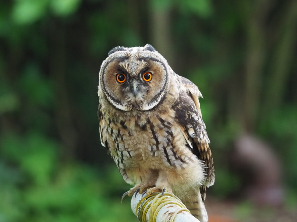 Was guckst Du?