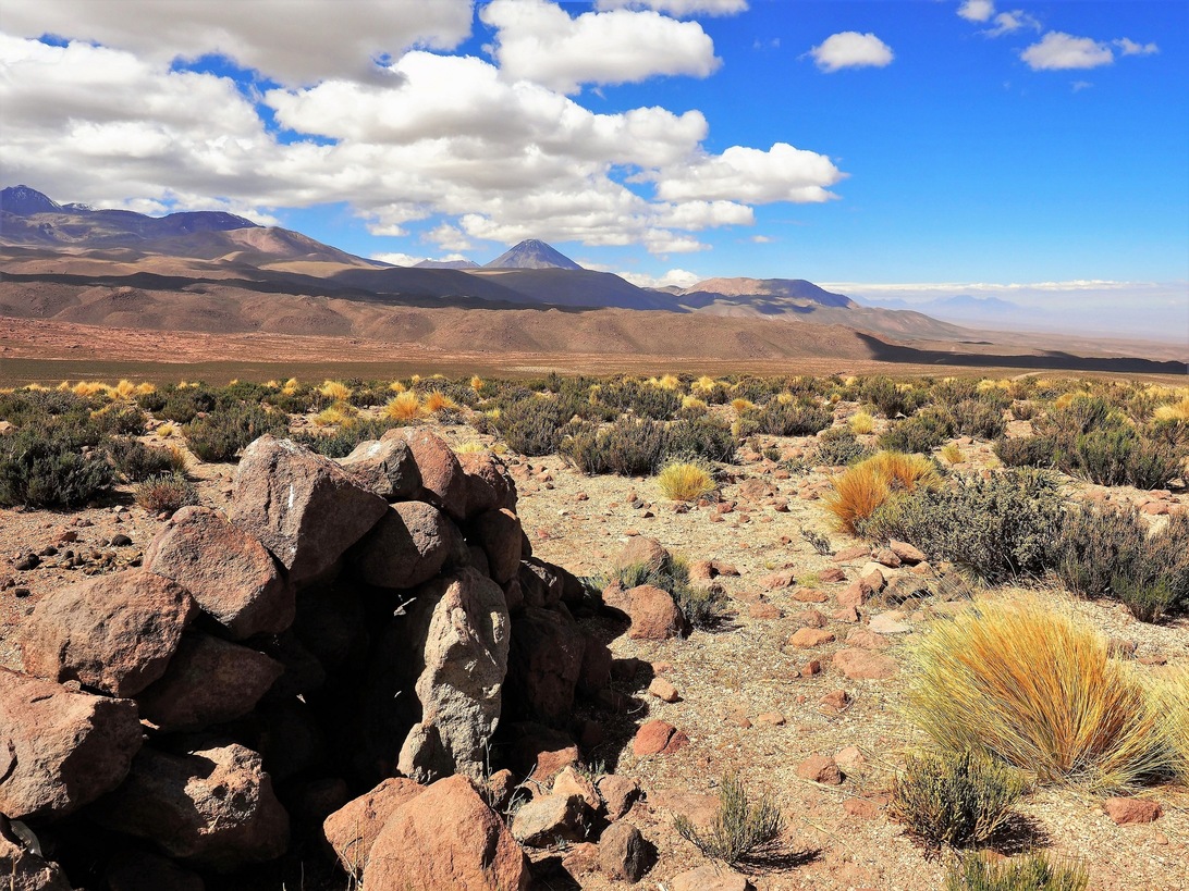 Altiplano Chile.jpg