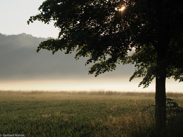 Die Sonne ...