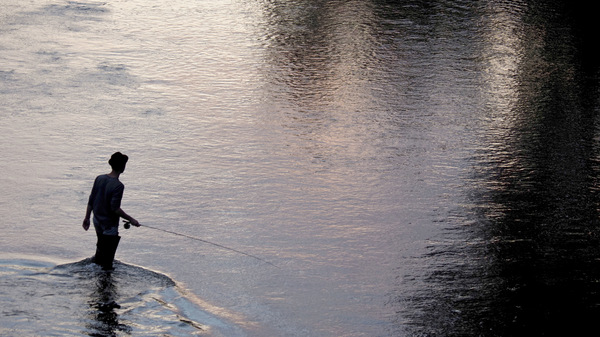 EM126494c.jpg