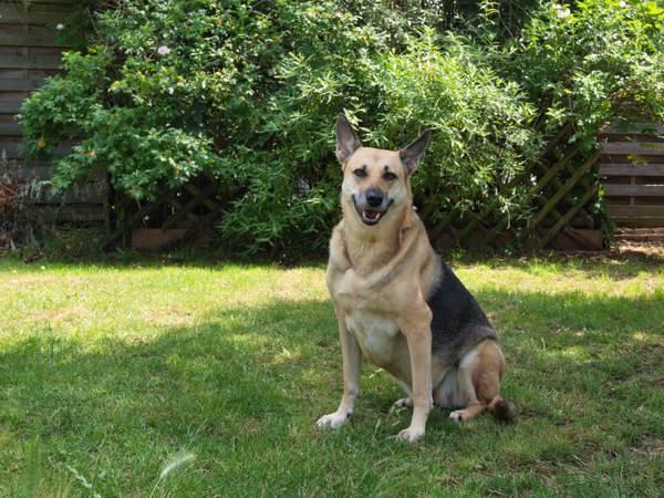 Sita