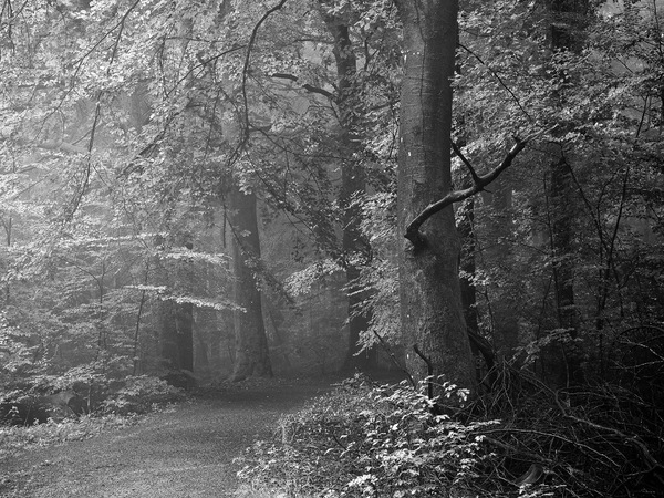 Zwischen Hitze und Herbst