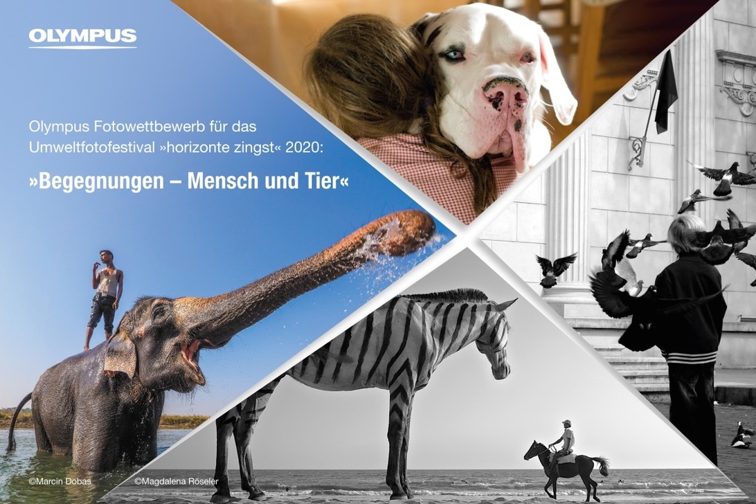 olympus_fotowettbewerb_horizonte-zingst-2020_img_1200.jpg