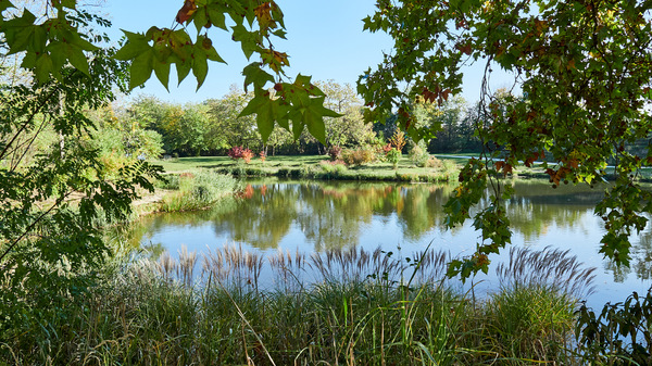 Herbst Grafenegg