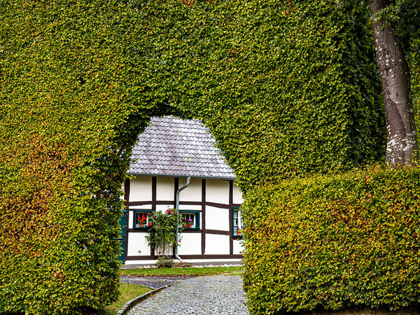 Windschutz