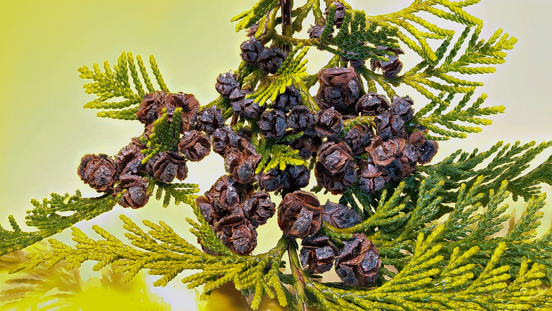 2019-11-17 12-08-44 (C,Smoothing1).jpg