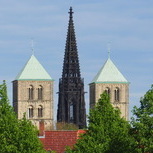 Dieter C.