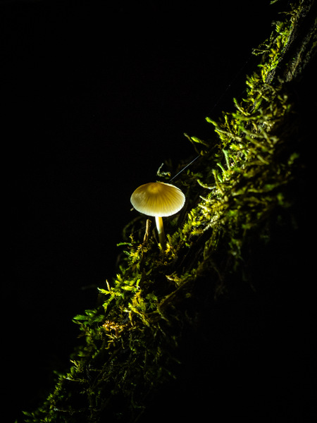 Ein Licht in der Nacht