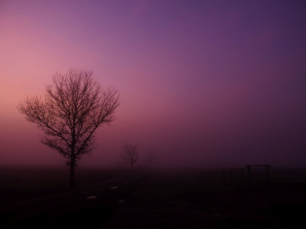 Das Licht