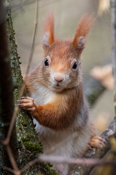 Hey, moin!