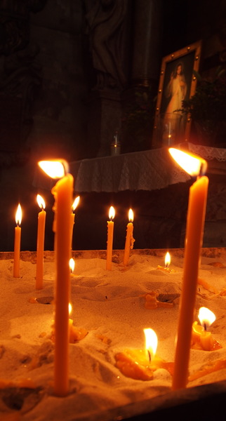 P2110201v1.jpg