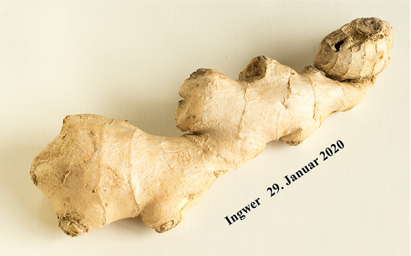 Ingwer 2020 01 29 1000 Px_dö_02..jpg