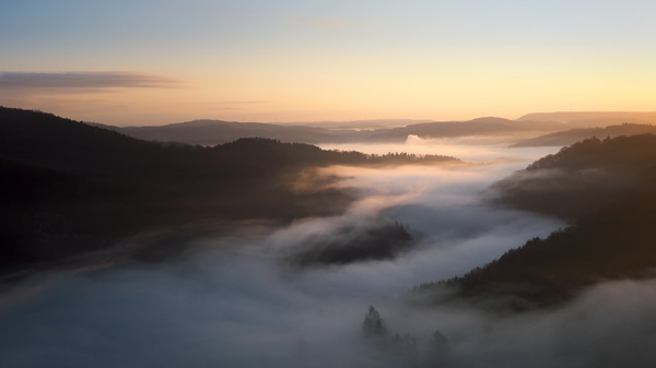 Licht-Nebel-Landschaft