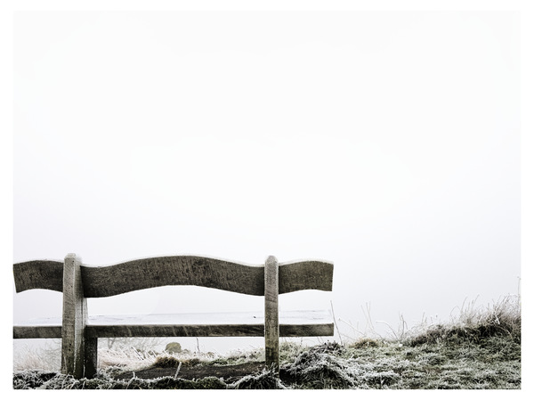 Nebel(aus)blick