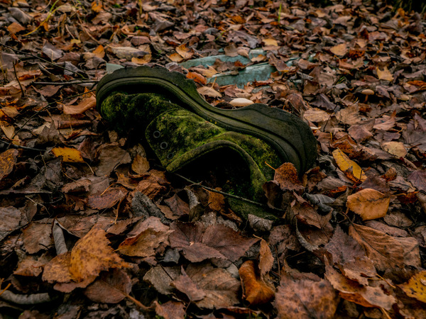 Lost & Found