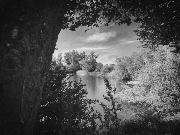 Ausblick und Durchblick
