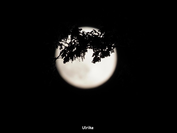 Mond, Mond, Mond