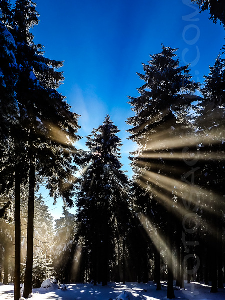 Lichtblick