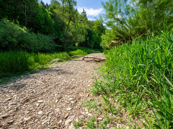 Spaziergang in der Donau