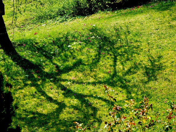 Licht und Schatten...