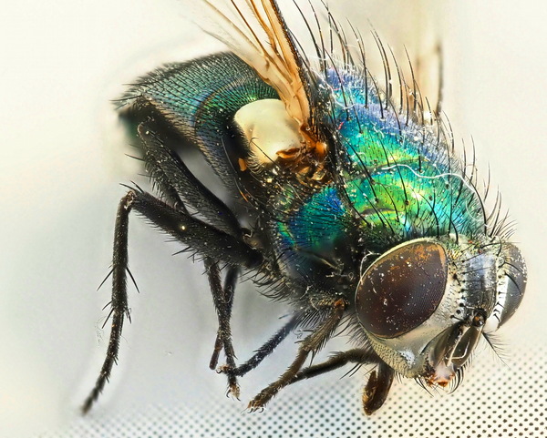 Beeindruckende Vergänglichkeit