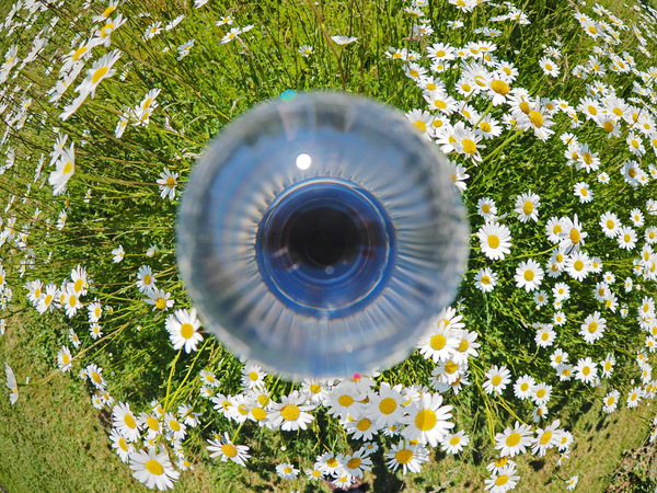 Naturauge
