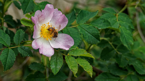 P5222721_DxO.jpg