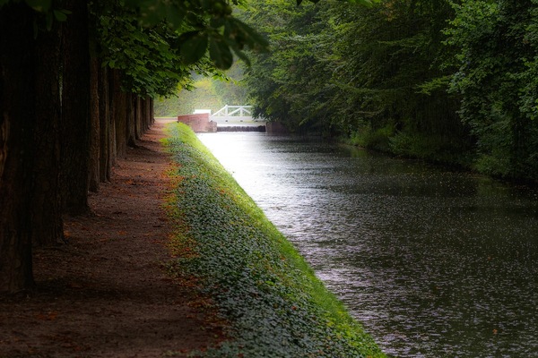 Schlosspark IV