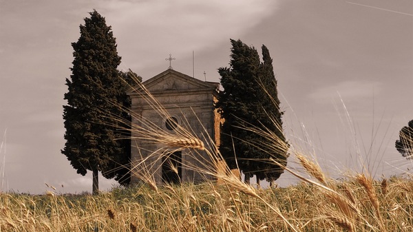 Frühling im Val d'Orcia