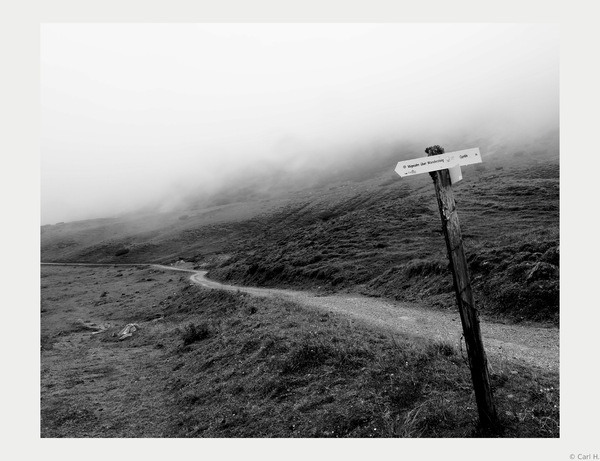 "Seltsam, im Nebel zu wandern!"