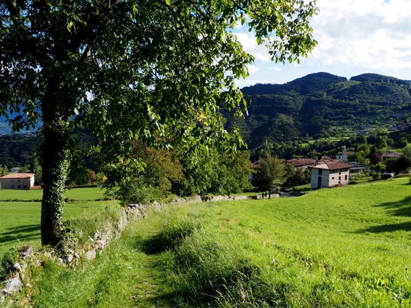 auf dem weg nach villa.jpg