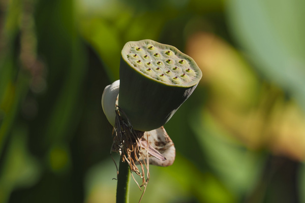 09-Arboretum 20.09.2020 10-51-22.jpg