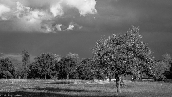 Regenfront