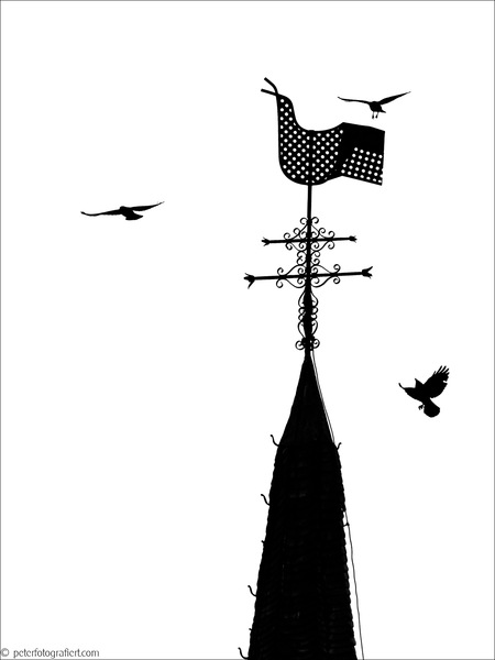 Die Spaßvögel