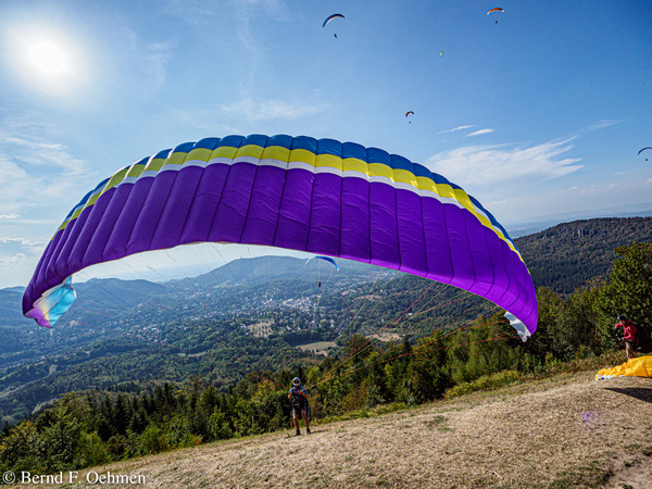 x-bfo-200922OMII2255.jpg