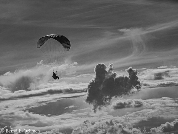 x-bfo-200922OMIR1745.jpg
