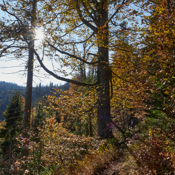 Rachel über NordsteigOkt 25 2020_3.jpg