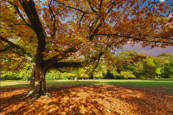05-Hirschpark  28.10.2020 11-40-41.jpg