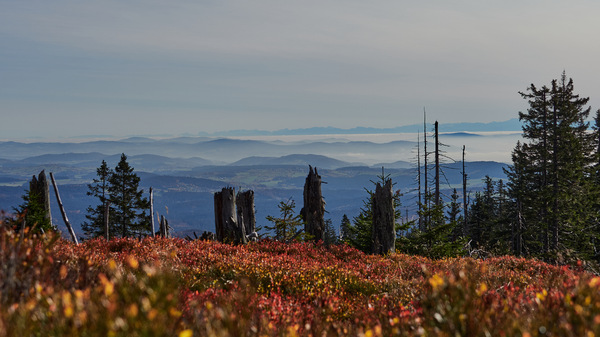 Rachel über NordsteigOkt 25 2020_6.jpg