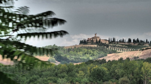 Castello Banfi