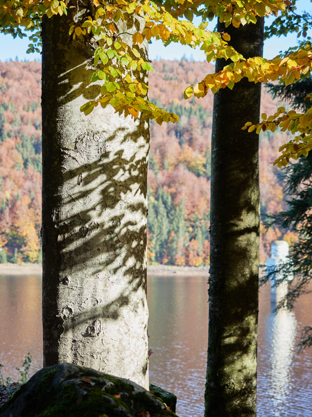 Rachel über Nordsteig Trinkwasserspeicher Okt 25 2020.jpg