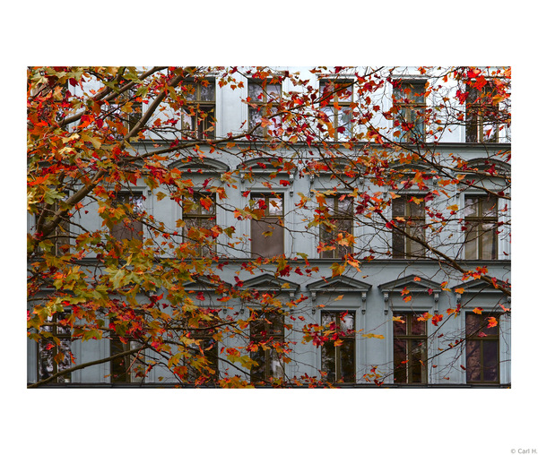 Herbst in Berlin