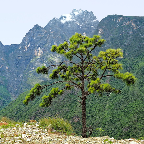 Bergwandern am Yangtsekiang