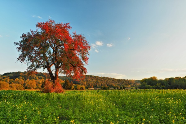 Herbstfarben