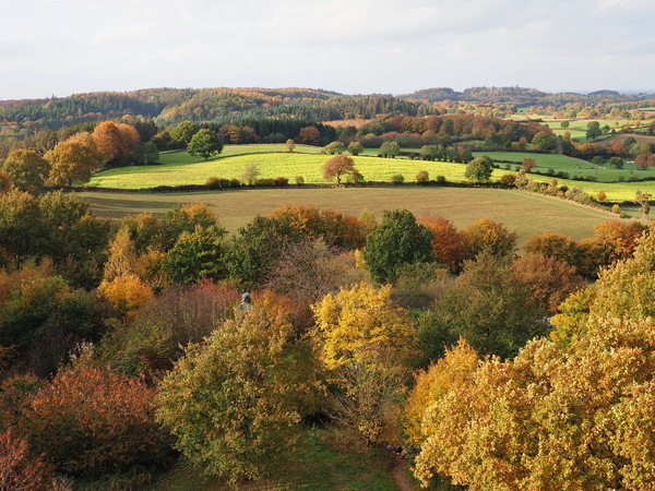 PA273305.JPG